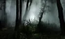 NTI2Mw==/mediabank/images/products/FoggingTreatment1590957418_5263.webp