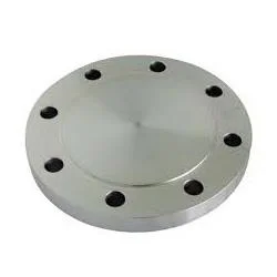 NTcwNQ==/mediabank/images/products/BlindFlange842388830_5705.webp