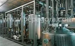  Automation Consultancy Service