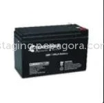 Lead Acid Battery