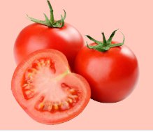 Tomato Paste Concentrate for Food Processing Industry