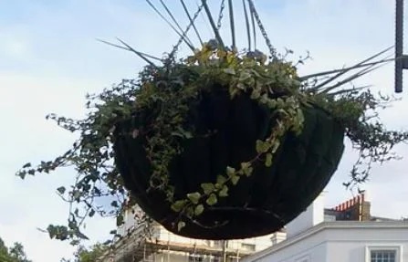 Garden Coco Liner