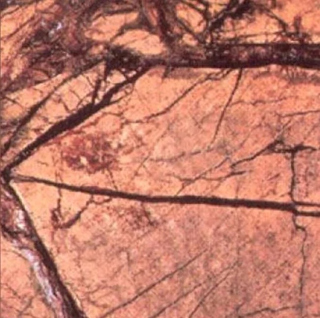 Bidasar Yellow Marble Stone