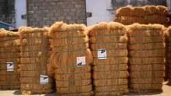 Coir Fiber