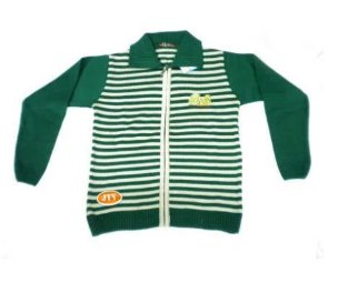 Gents Fancy Pullovers Stylish Winter Knitwear for Men