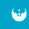 Aqua Phoenix Solutions