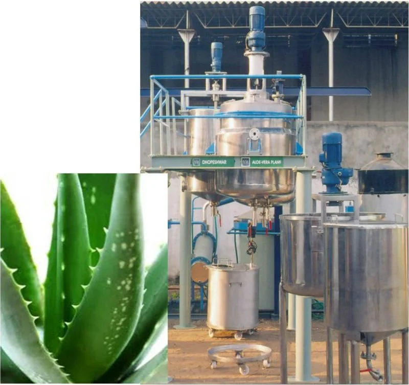 ODI2NA==/mediabank/images/products/Gel_and_juice_extraction_plant_for_Aloevera.webp