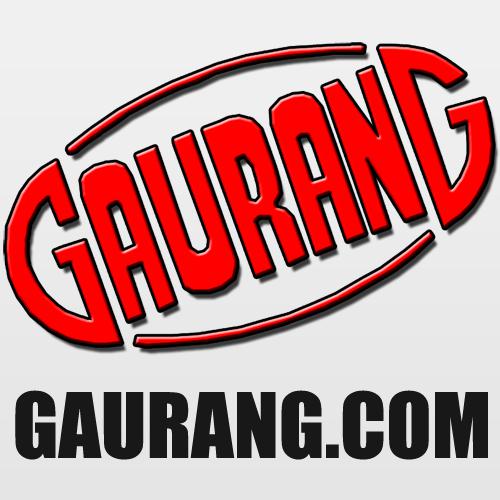 GAURANG ELECTRONIC INDUSTRIES