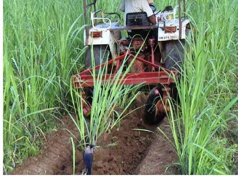 Disc Type Earthing Up and De-Ridging Plough for Sugarcane and Agricultural Applications