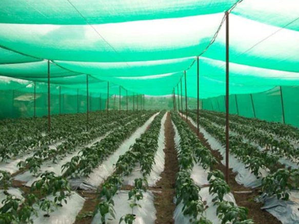 Agro Shade Nets UV Stabilized HDPE