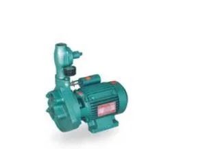 Mini Self Priming Monoblock Pump Compact for Domestic and Light Industrial Water Transfer