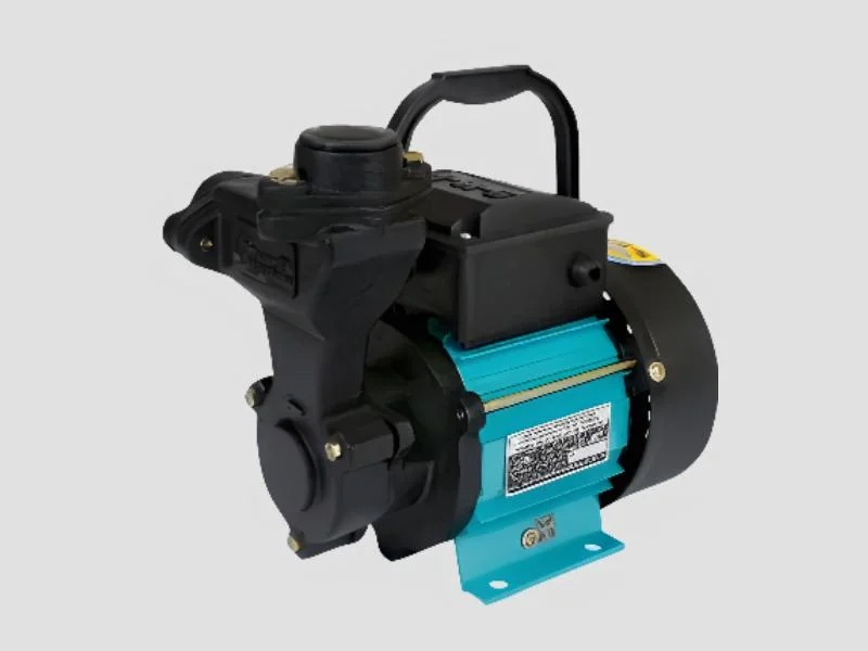 Portable Champ 50 (0.5HP) Pump For Household Irrigation Systems