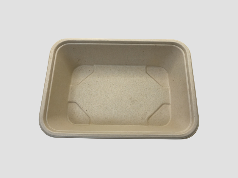 assets/-O-dahKUR1BR9XR2o4Rrm.jpg
