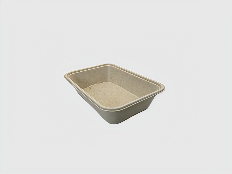 assets/-WI993SBMd1-H2BvErW36.jpg