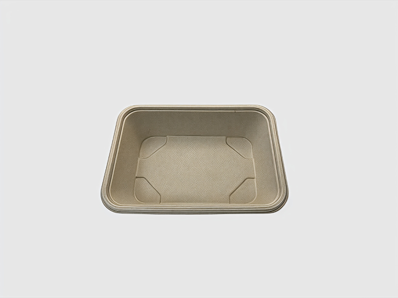 assets/3Ml-bPdQ-pRr6dQnRSHyU.jpg