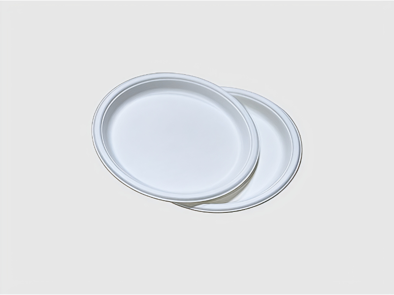 assets/9aNp0-2wgKR3FLv7J9YLD.jpg