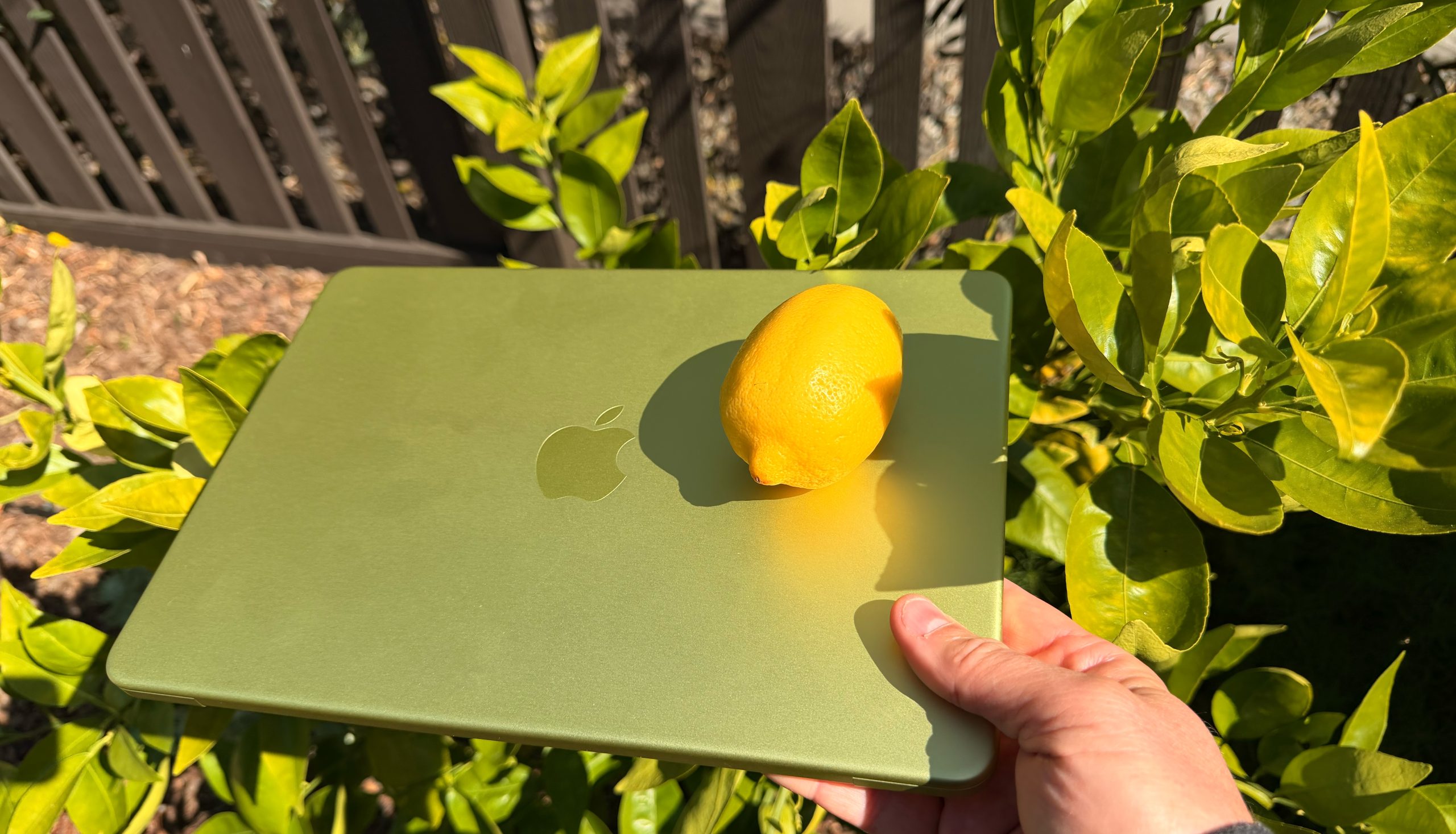 product-image-1