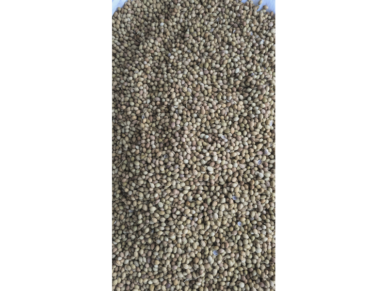 assets/CfEeu9hbEPGxqN7UbwX_m.jpg