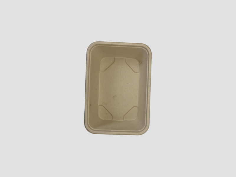 assets/IpXV_lR32ptnVpkEqY6Rm.jpg