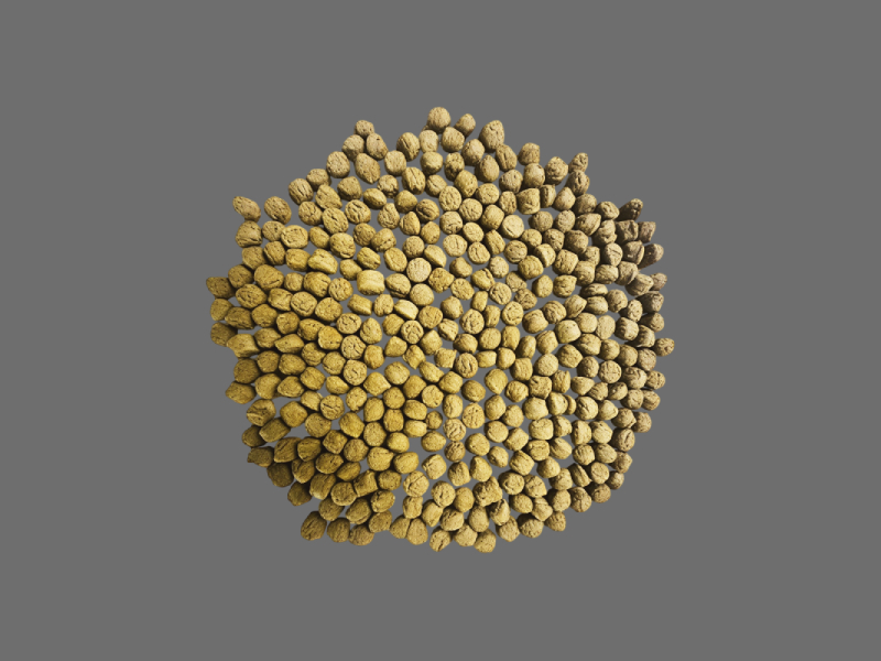 Sinking Fish Feed 1.jpg