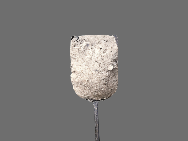 Biochar Wood Ash 2.jpg