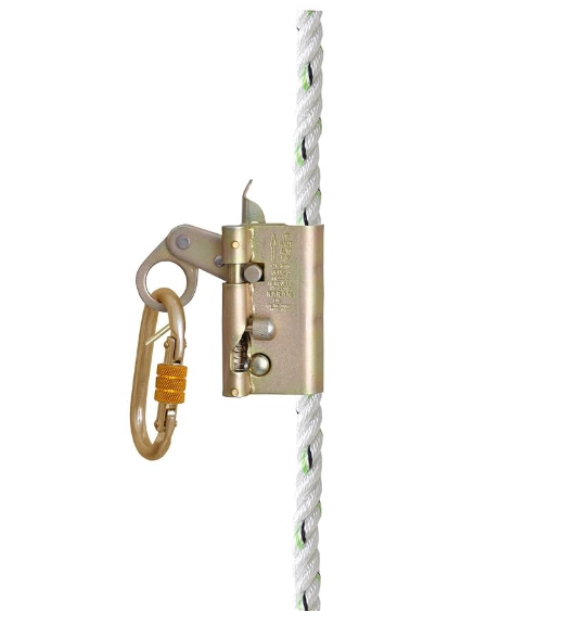assets/QlG1_Ld5OfFe7gHtd2arR.png
