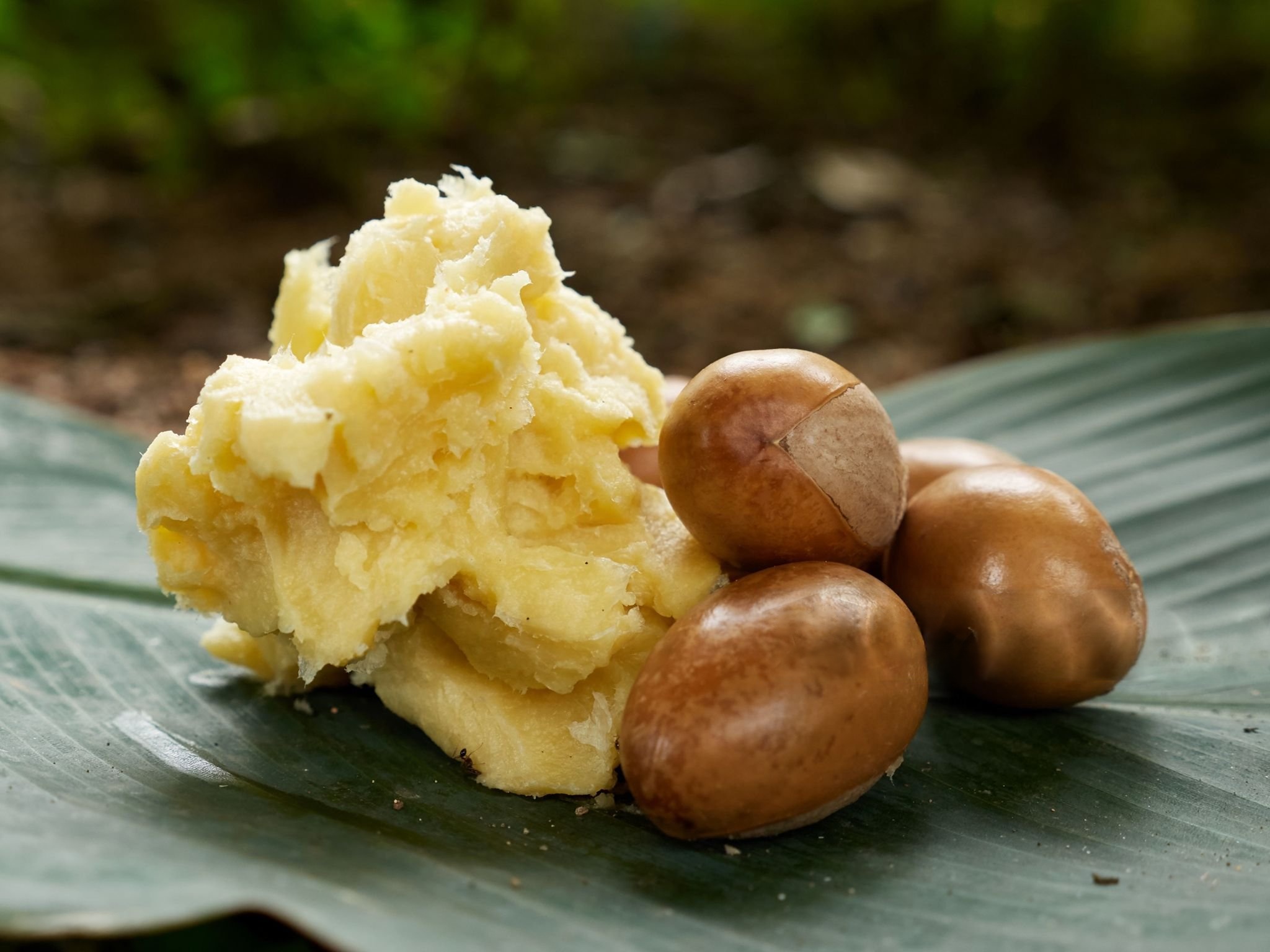 Crude Shear Butter 1.jpeg