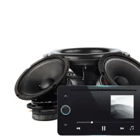 Audio & Infotainment Systems