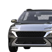 Electric Vehicles (EVs)