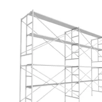 Scaffolding & Formwork Systems