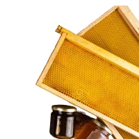 Poultry Farming Equipment