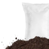 Seeds & Planting Materials