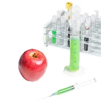 Cold Chain Logistics & Storage