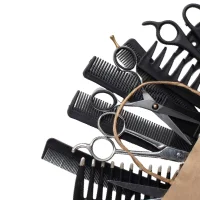 Beauty Equipment (Salon, Spa Devices)