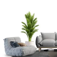 Interior Design Services