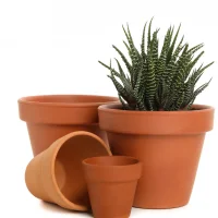 Planters & Pots