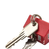 Intellectual Property Services