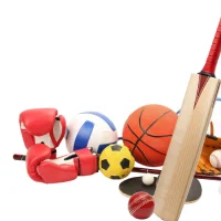 Team Sports Equipment (Football, Basketball, Cricket)