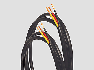 assets/dM90FI2udROpxsPKZWVKI.jpg