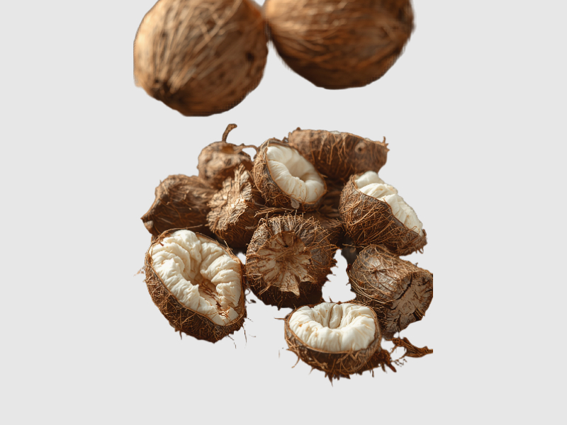 assets/dNSwgpdDY9_8IOdaJYa29.jpg