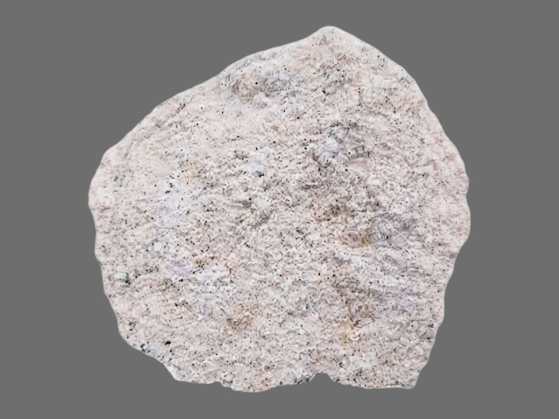 Crushed White Egg Shell 3.jpg