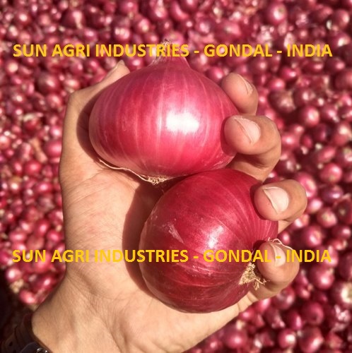 assets/jma8w5mLIGqQj7JAGE577.jpg