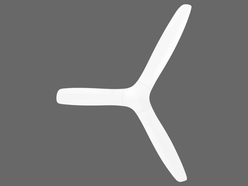 assets/vjwwEetjn75IHIlRoq9W6.jpg