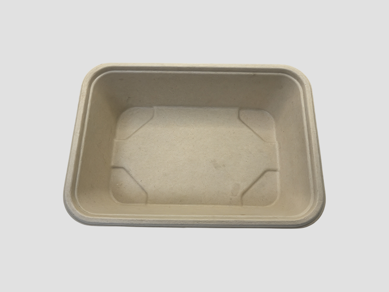 assets/y-GAa3peotytl8PbfUwPc.jpg
