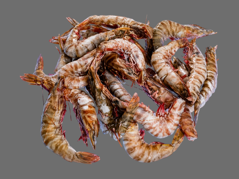 Fresh Tiger Prawns 1.jpg