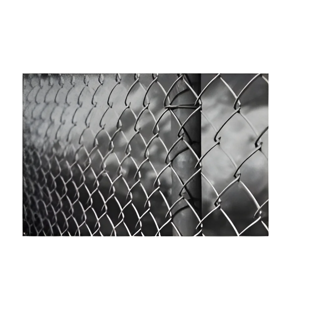 resizeImages/MTA0NQ==/mediabank/images/products/fencing-250x250.webp