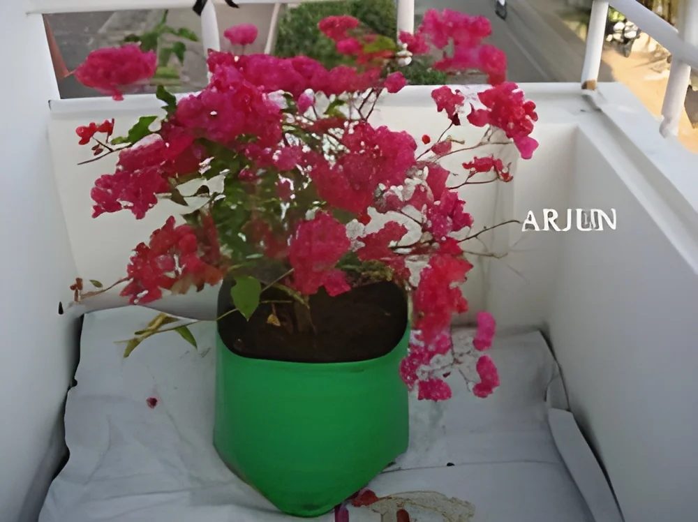 product-image-1