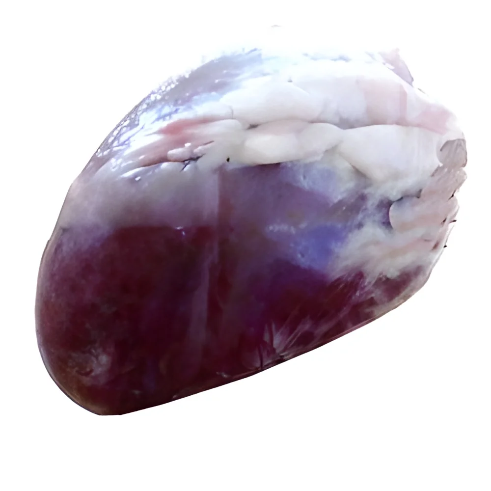 product-image-1
