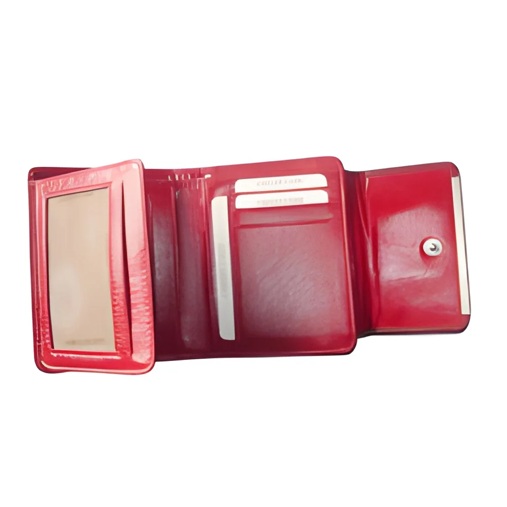 resizeImages/MTE3Ng==/mediabank/images/products/multi-fold-ladies-wallet-250x250.webp