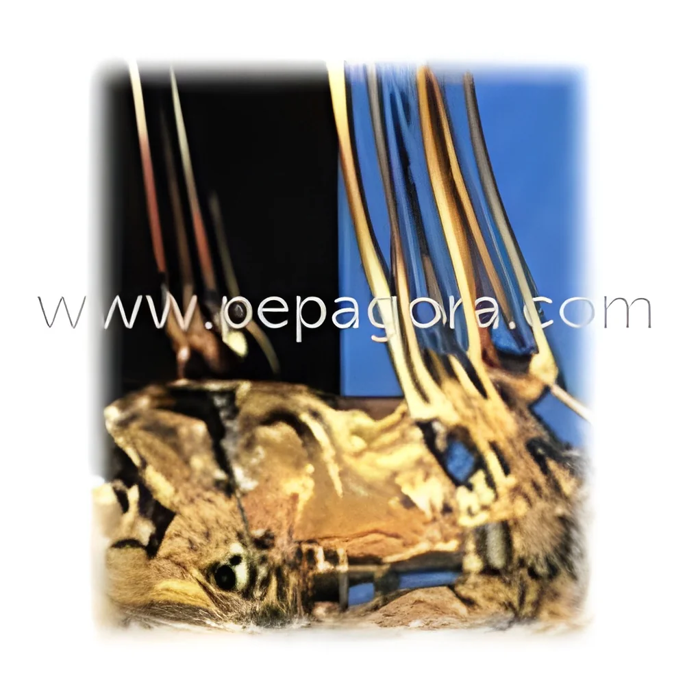 resizeImages/MTI3MjQ=/mediabank/images/products/MethylHydrogenPolysiloxaneFluid875523398_12724.webp